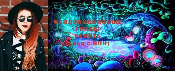 бошки Аркадак