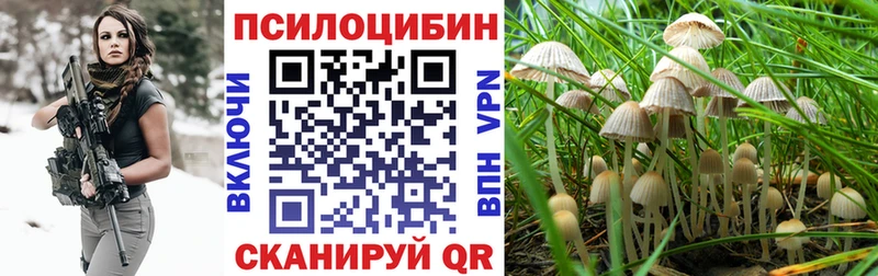 Псилоцибиновые грибы Cubensis  закладки  Рыбинск 
